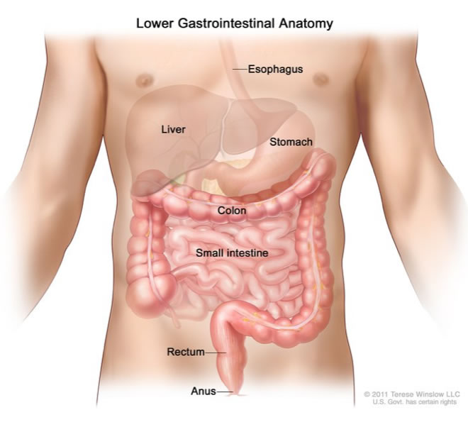 Robotic-Assisted Colorectal Surgery