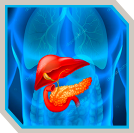 Hepato-pancreatic Biliary Surgery